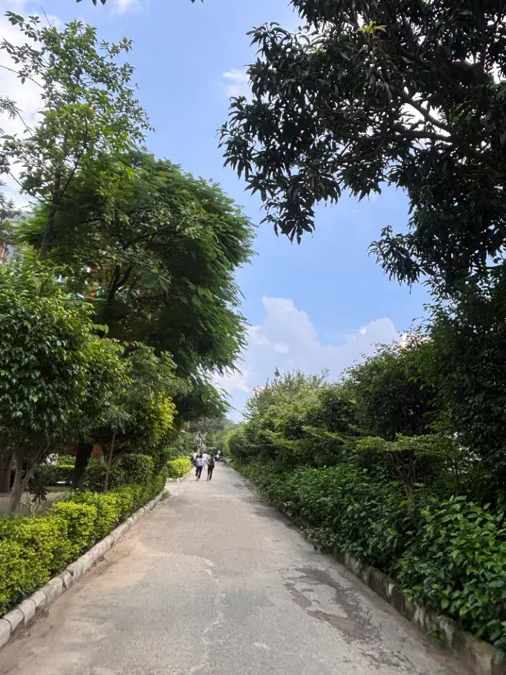 PIET Pathway photo 1